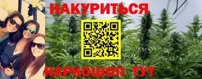 шишки Пенза