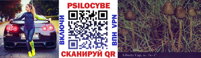 Псилоцибиновые грибы мухоморы  дарнет шоп  Георгиевск 