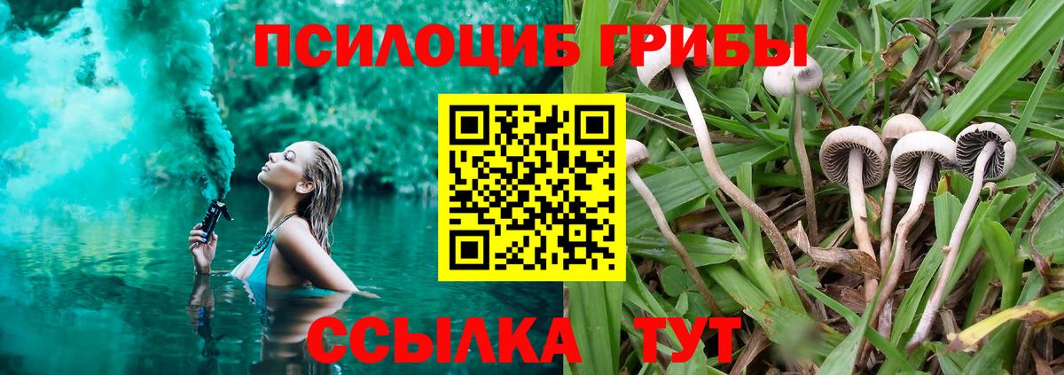 Псилоцибиновые грибы GOLDEN TEACHER  Вход с VPN  Георгиевск 